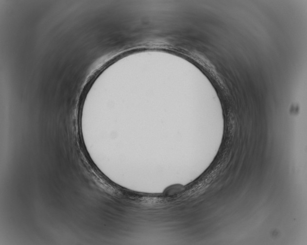 X0000097591176200803280920