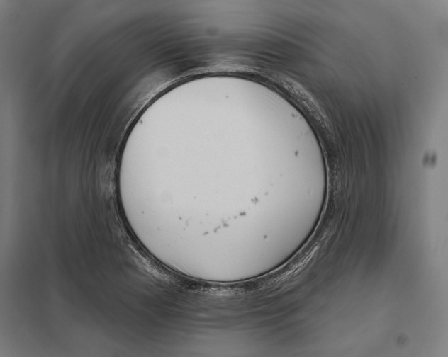 X0000097591177200803280920