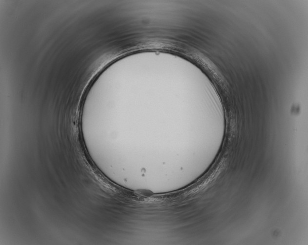 X0000097591178200803280920