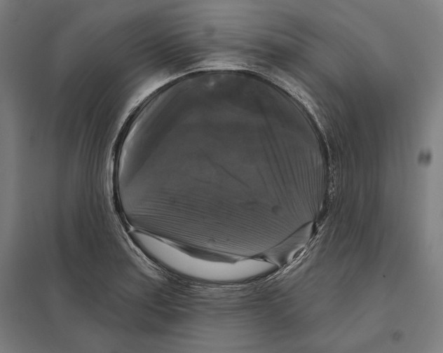 X0000097591179200803280920