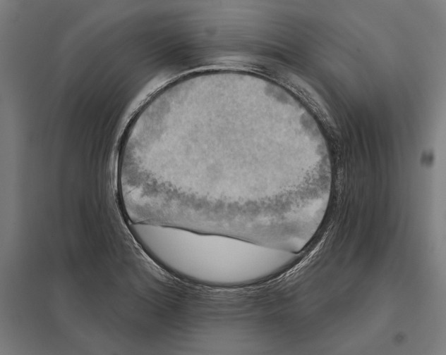 X0000097591180200803280920