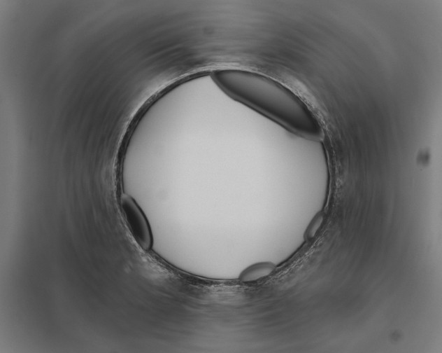 X0000097591181200803280920