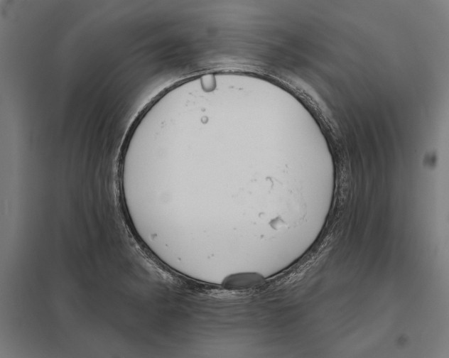 X0000097591182200803280920