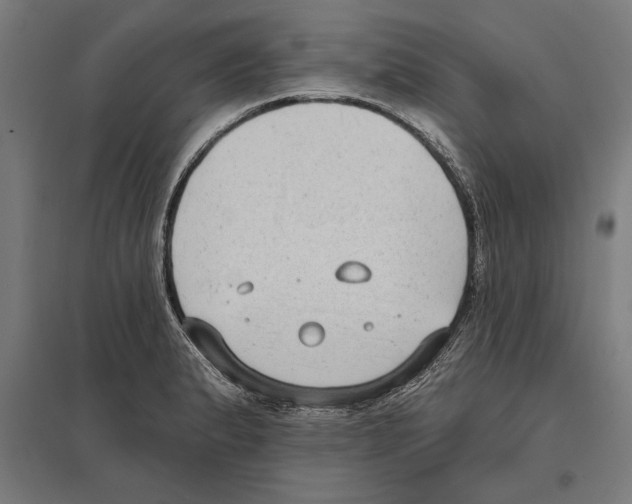 X0000097591183200803280920