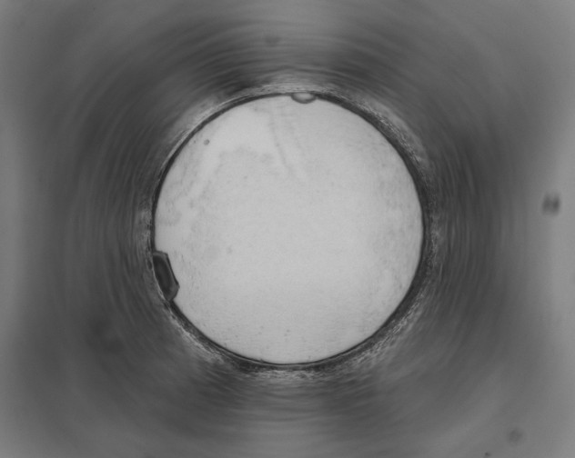 X0000097591185200803280920