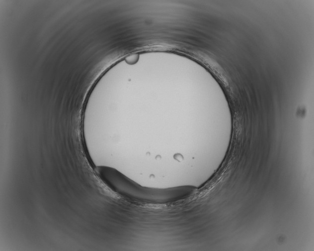 X0000097591186200803280920