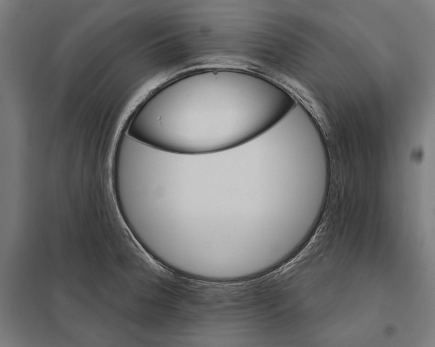 X0000097591188200803280920