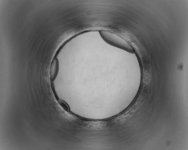 X0000097591189200803280920