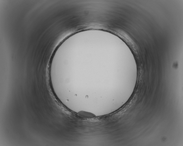 X0000097591190200803280920