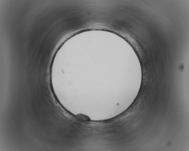 X0000097591191200803280920