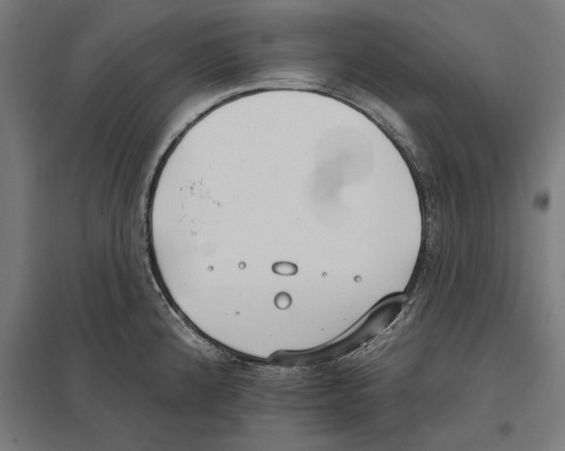 X0000097591192200803280920