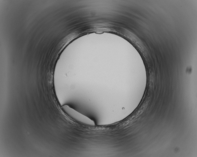 X0000097591193200803280920