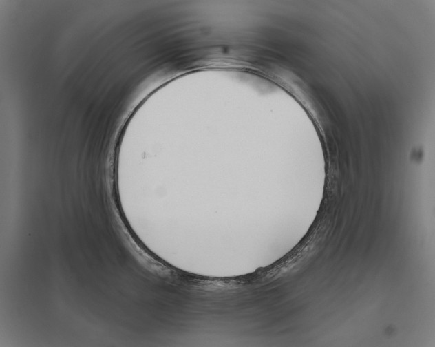 X0000097591195200803280920