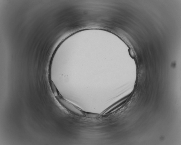 X0000097591197200803280920