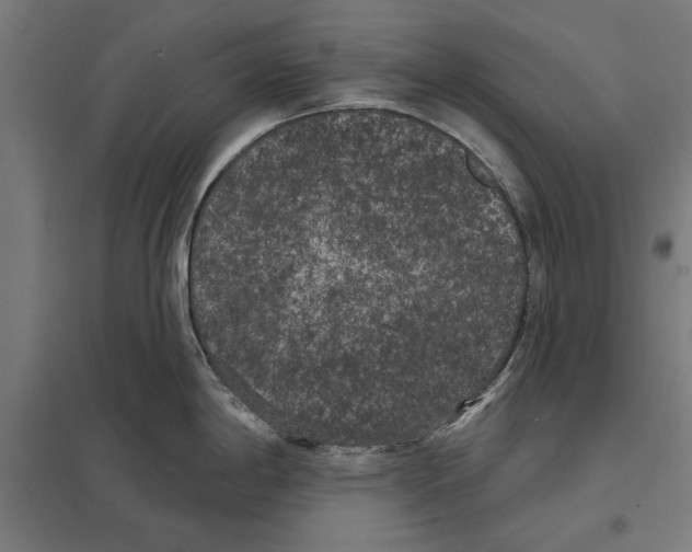 X0000097591198200803280920