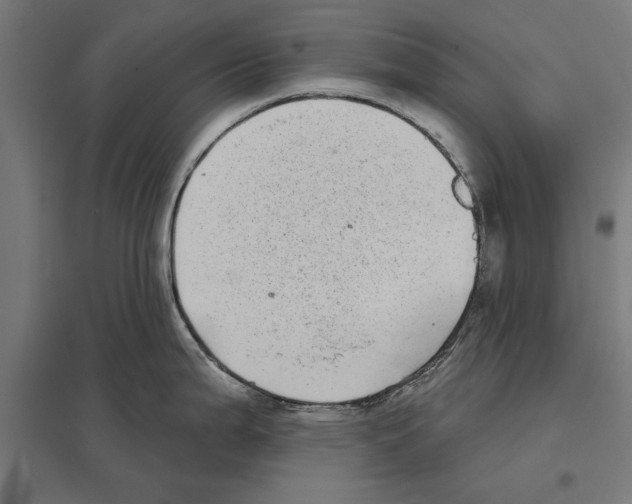 X0000097591199200803280920