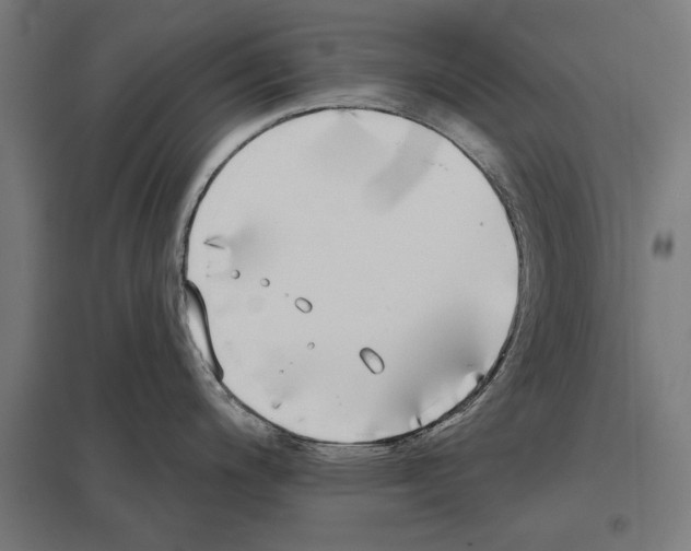 X0000097591200200803280920