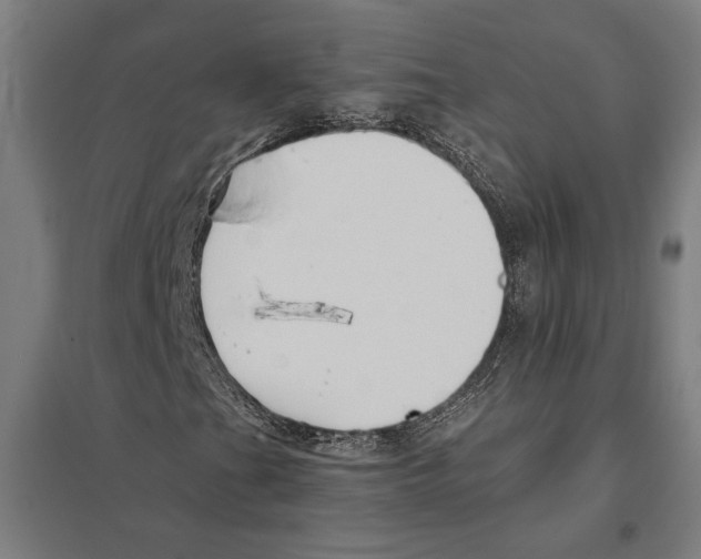 X0000097591201200803280919