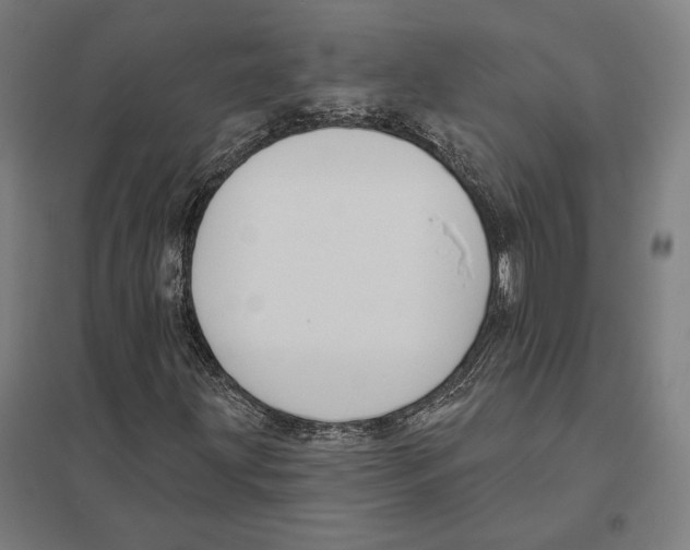 X0000097591203200803280919