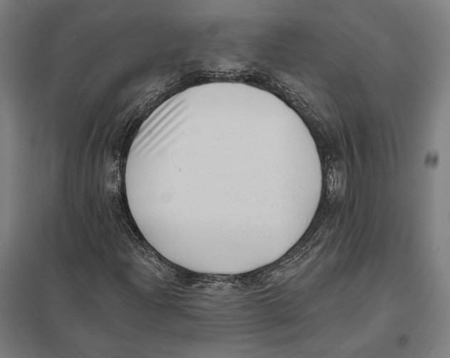 X0000097591204200803280919