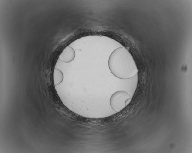 X0000097591205200803280919