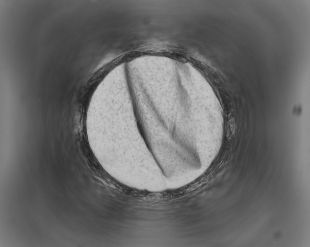 X0000097591206200803280919