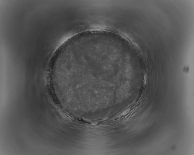 X0000097591208200803280919