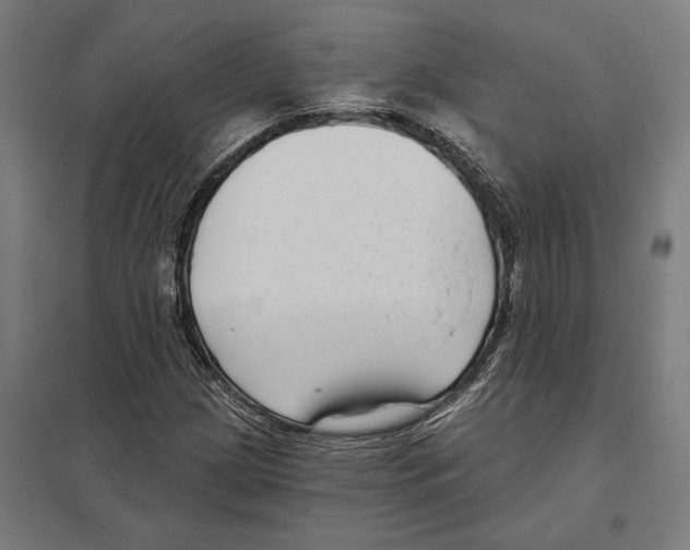 X0000097591209200803280919