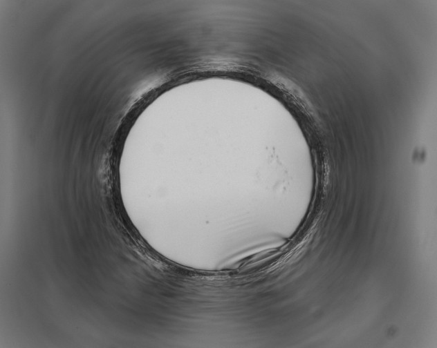 X0000097591210200803280919