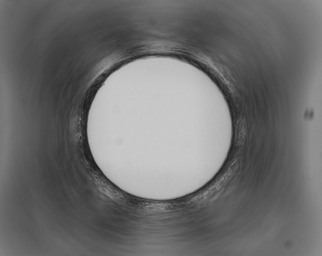 X0000097591211200803280919