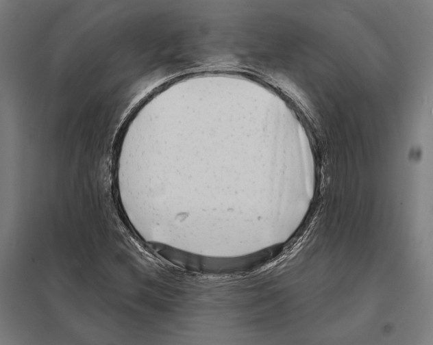 X0000097591212200803280919