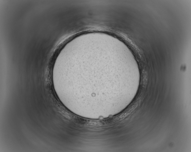 X0000097591215200803280919