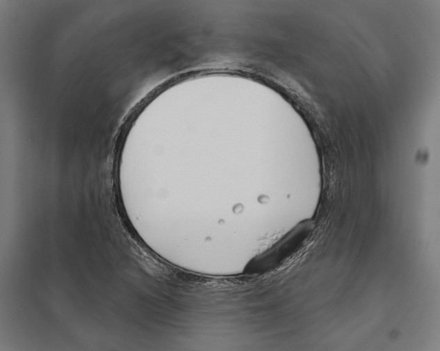 X0000097591216200803280919