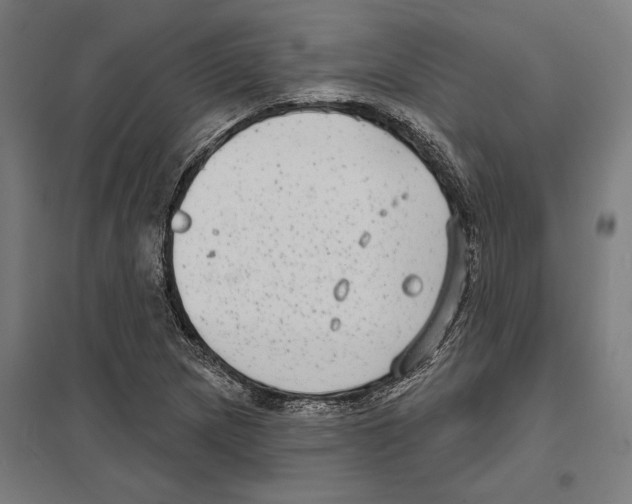 X0000097591217200803280920