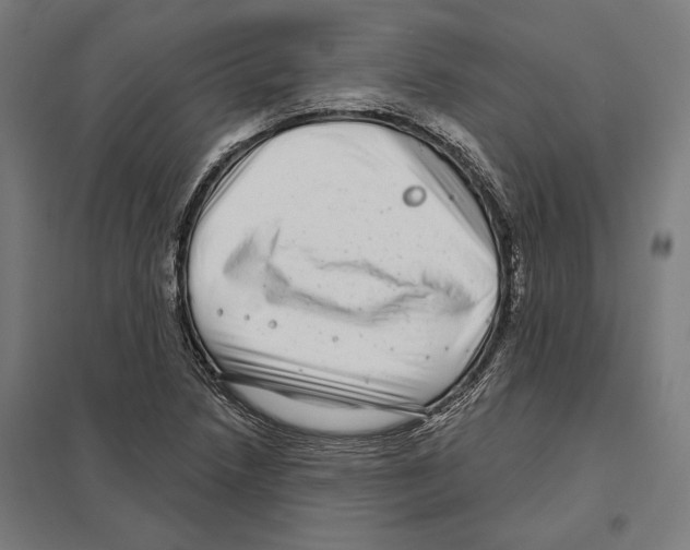 X0000097591218200803280920