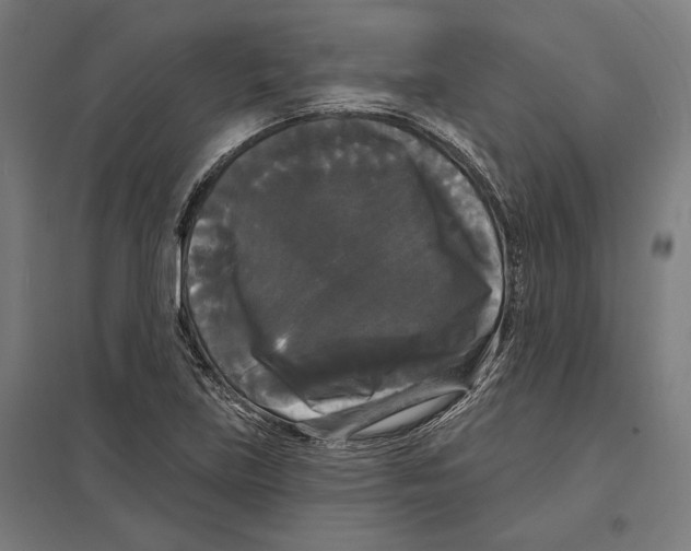 X0000097591219200803280920