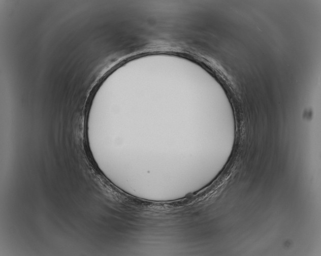 X0000097591220200803280920