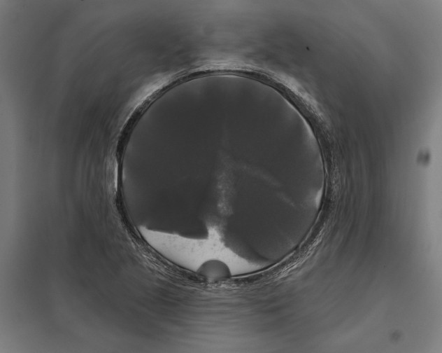 X0000097591221200803280920