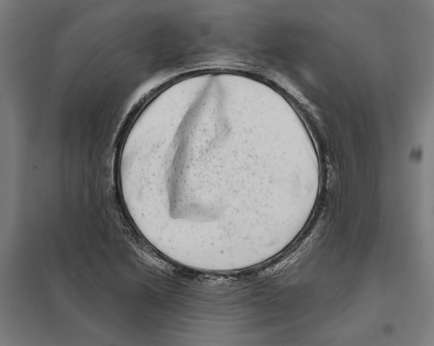 X0000097591222200803280920