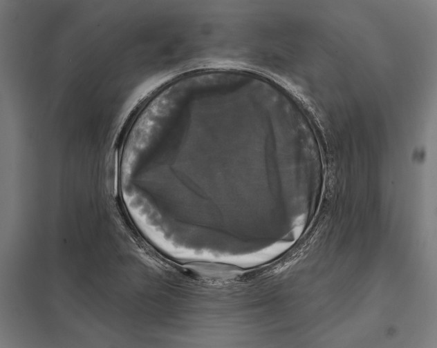 X0000097591223200803280920