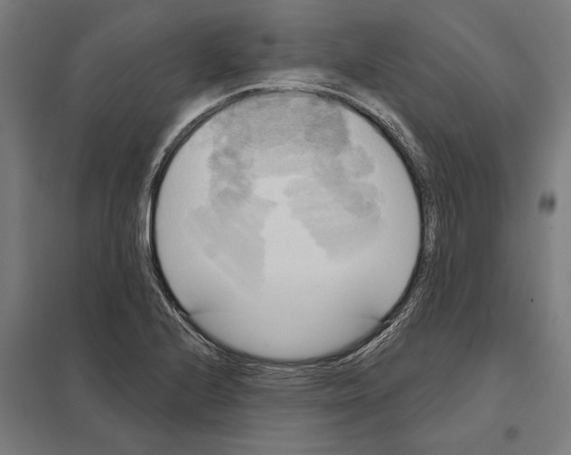 X0000097591224200803280920