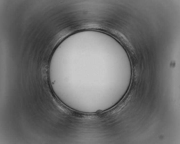 X0000097591225200803280920