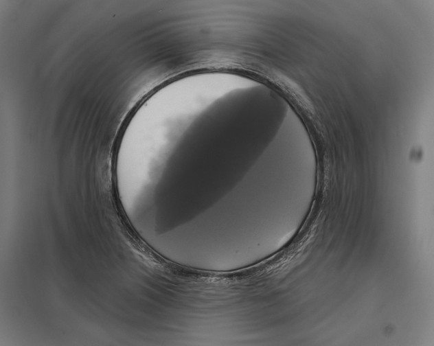 X0000097591226200803280920