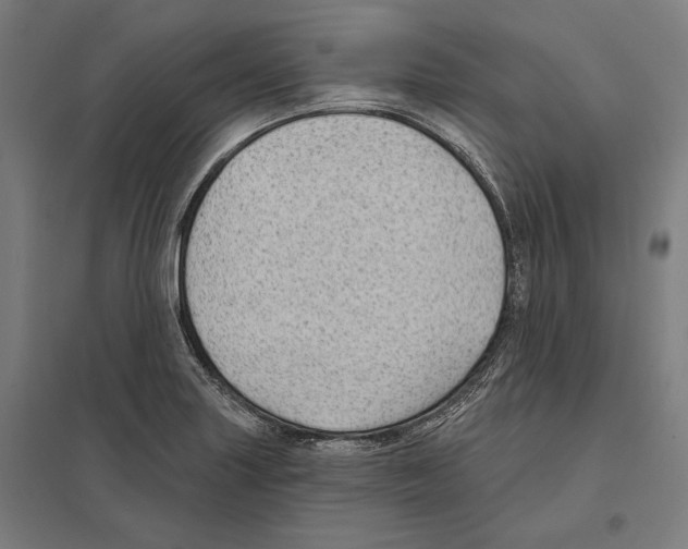 X0000097591227200803280920