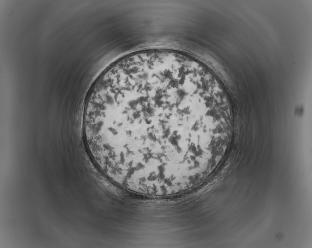 X0000097591228200803280920