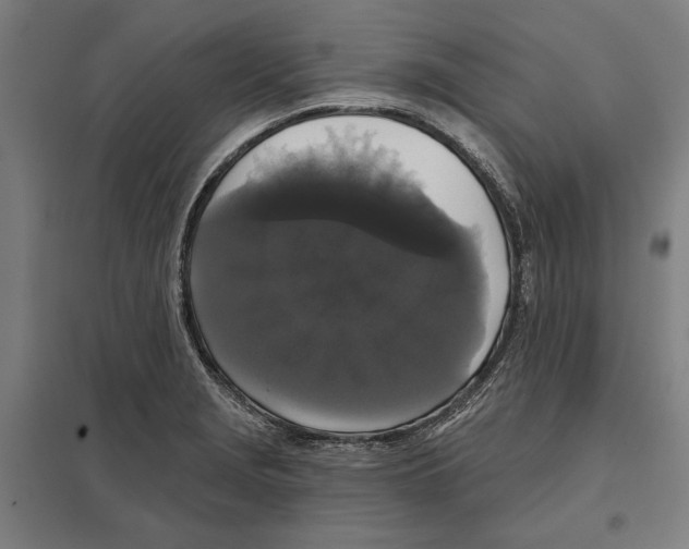 X0000097591229200803280920