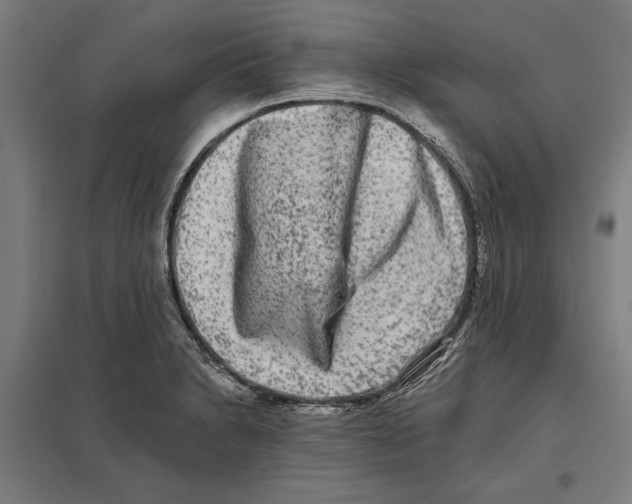 X0000097591230200803280920