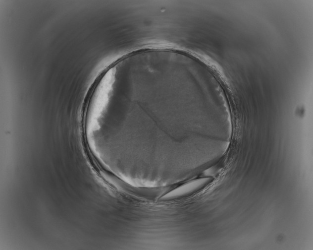 X0000097591231200803280920