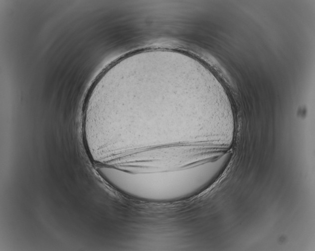 X0000097591232200803280920