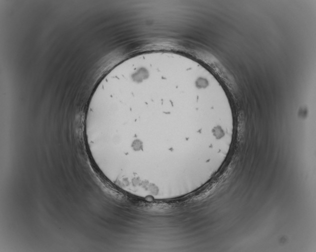 X0000097591233200803280920